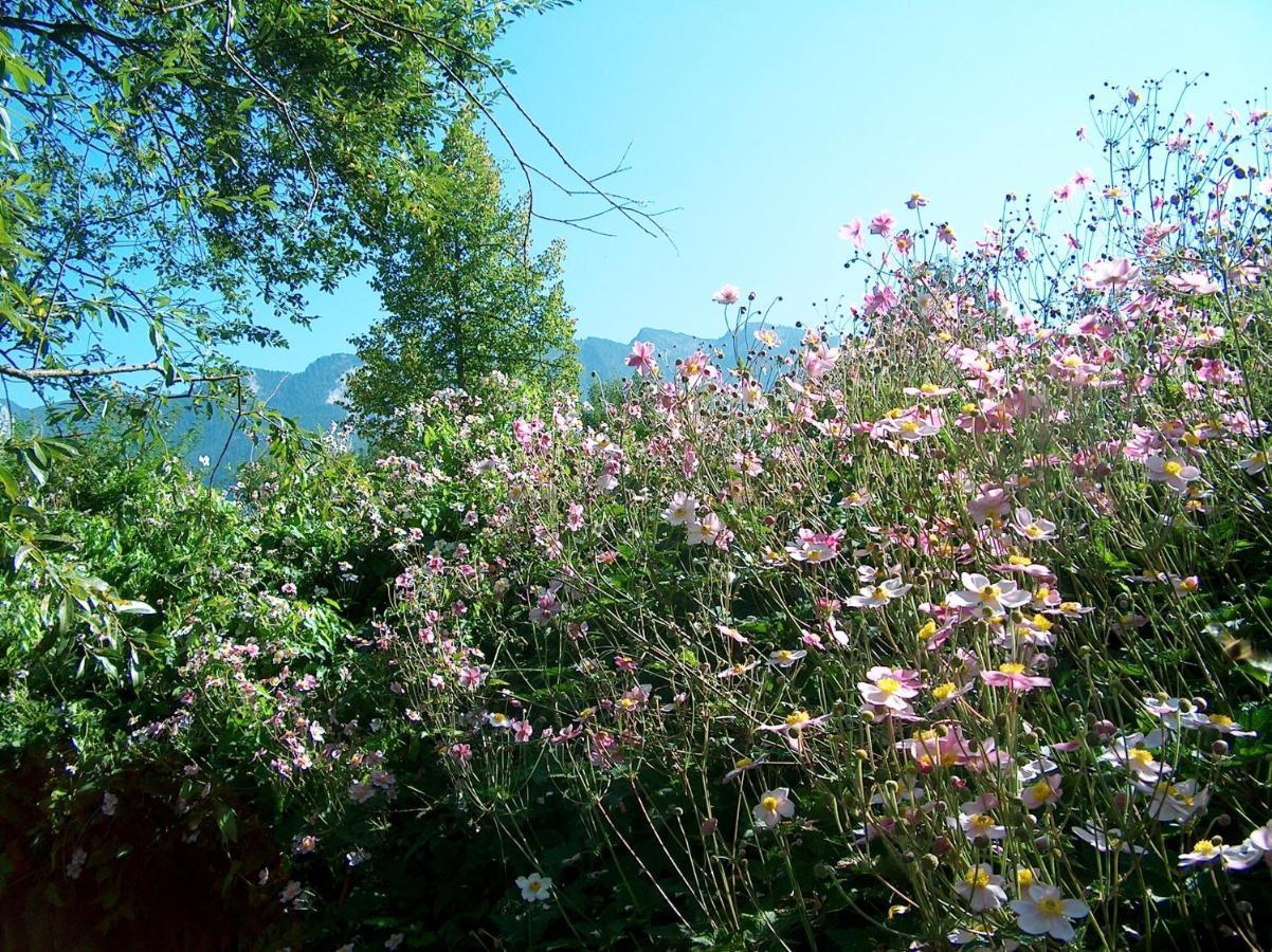 Schlossberghof Marzoll Bad Reichenhall Dış mekan fotoğraf